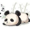 ymeng78